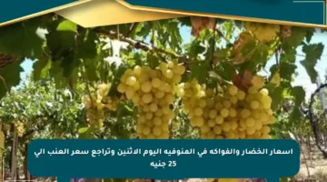 أسعار الخضار والفواكه في المنوفية اليوم الاثنين وتراجع سعر العنب إلى 25 جنيه